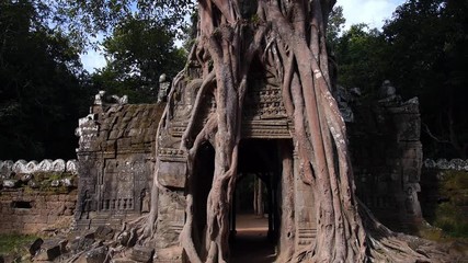 Stone Gate In Banyan and Kapok Trees With Gigantic Roots In Angkor Wat Temple. HD, 1920x1080. 