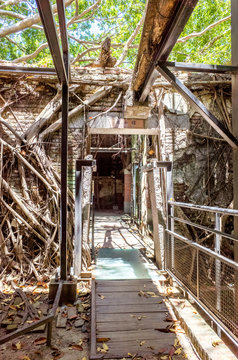 Tainan, Taiwan - July 12, 2017 Anping Tree House. This old warehouse is covered by branched of ancient Banyan Tree branch which is respected as sacred tree. It was originally warehouse of Tait & Co.