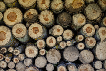 Natural wooden background, closeup of chopped firewood. Firewood stacked and prepared for winter Pile of wood logs.