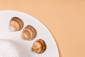 Female straw hat seashells on a beige background