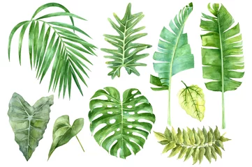 Afwasbaar Fotobehang Tropische bladeren Set tropische aquarelbladeren