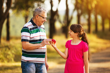 Little girl is giving apple to her grandfather while standing in nature.
