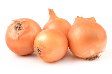 Onions on a white background