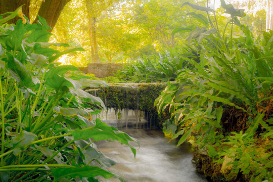 Corso d'acqua. Bellezza naturale del giardino di ninfa