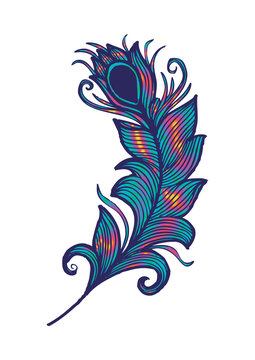 Beauty peacock feather.Hand drawing illustration.