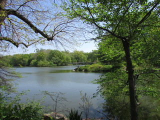 Fototapeta na wymiar Central Park lake, New York City, NY, USA