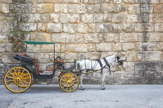 horse-drawn carriage