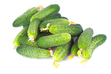 Fresh cucumbers on a white background