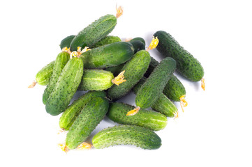 Fresh cucumbers on a white background