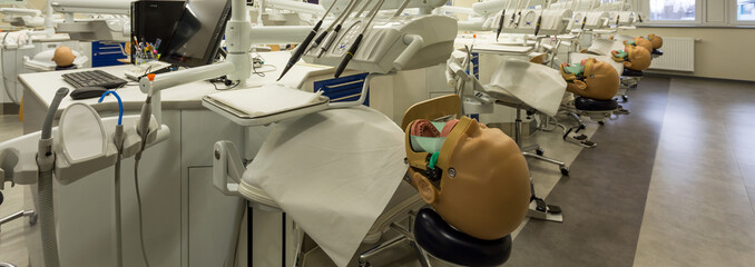 Modern classroom with anatomical models