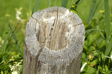 Holzzaun, Weidenzaun