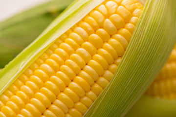 Closeup of Fresh corn on cobs on wooden table.
