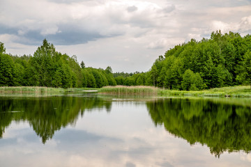 Fototapeta na wymiar Landscape with a forest lake in a summer day