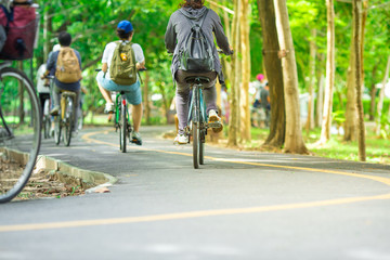 Bike path,movement of cyclist in the park
