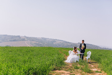Naklejka premium bride touching groom's hand at table in field