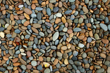 pebble stones in the garden