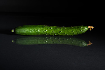 Cucumber