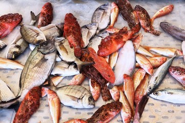 Italy fish market