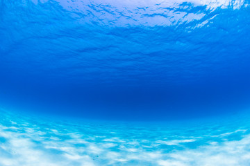 Clear Blue Water and Sandy Sea Floor 