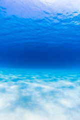 Fototapeta na wymiar Clear Blue Water and Sandy Sea Floor 