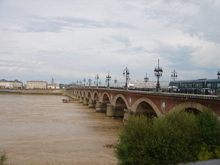 Fototapeta premium Gersey