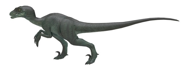 velociraptor running pose left side 3d rendering
