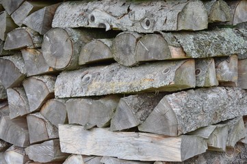 Holzscheite © ernstboese