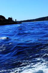 seascape and seaside