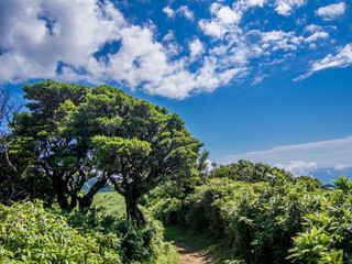 西伊豆スカイラインの遊歩道からの風景