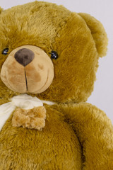 close up bear doll