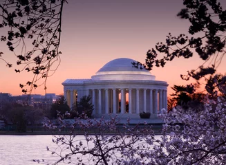 Stof per meter Cherry Blossom en Jefferson Memorial © steheap