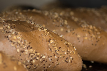 Mixed variety of fresh bakery products - organic breads
