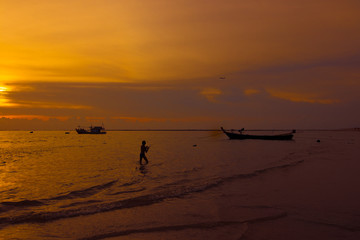 Fototapeta premium people on the beach during sunset time or silhouette