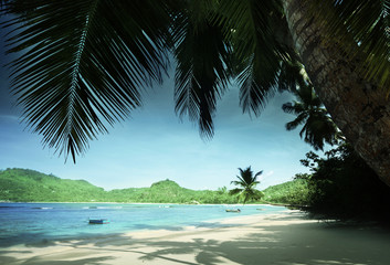 Fototapeta na wymiar beach Anse Takamaka, Mahe island, Seychelles