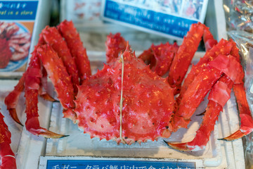 Alaska Crab  阿拉斯加螃蟹