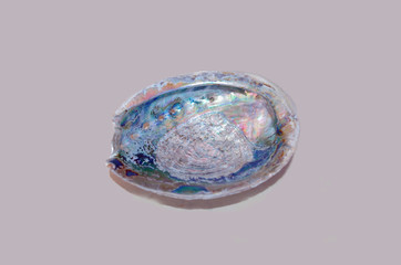 closeup view of isolated mother pearl (nacre)