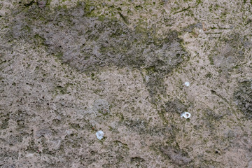 Water fountain floor