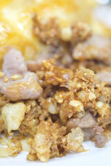 Garlic Pork rice omelet