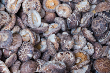 Close up on mushrooms background.