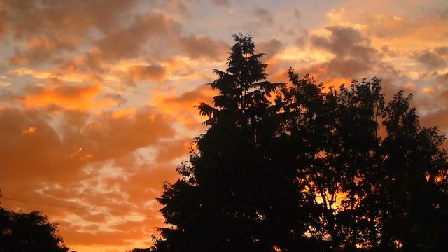 Time lapse of colorful sunset clouds over tree line.