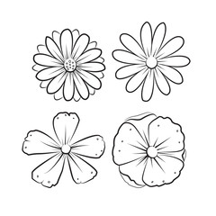 vintage flower, vector