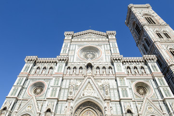 Fototapeta premium Cathedral of Saint Mary of Flower and Giotto's belltower