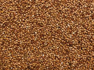 Fototapeta premium Buckwheat grain