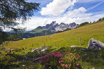 Naklejka premium Almgebiet auf der Sulzenalm