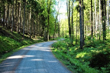 wanderweg