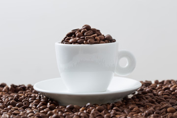 coffee beans on a white background