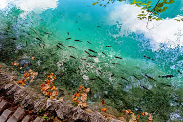 Plitvice Lakes National Park, Dalmatia, Croatia