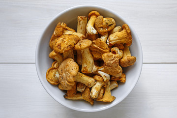 Freshly harvested chanterelle mushrooms in a bowl on white wooden background