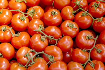 tomato            