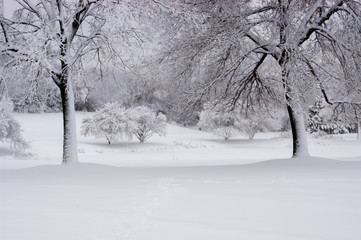 winter wonderland - 164308164